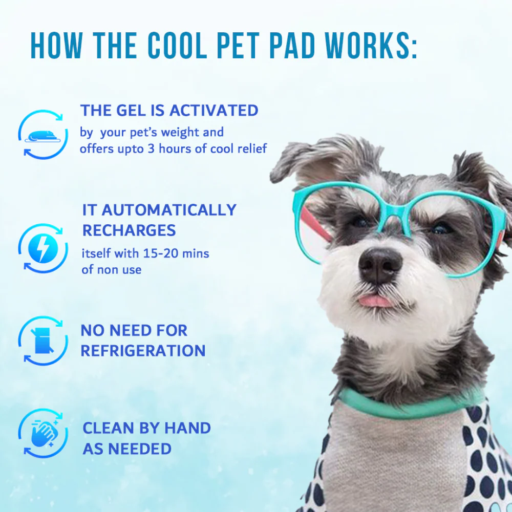 Goofy Tails Pressure Activated Cooling Mat for Dogs and Cats (Blue) - Image 4
