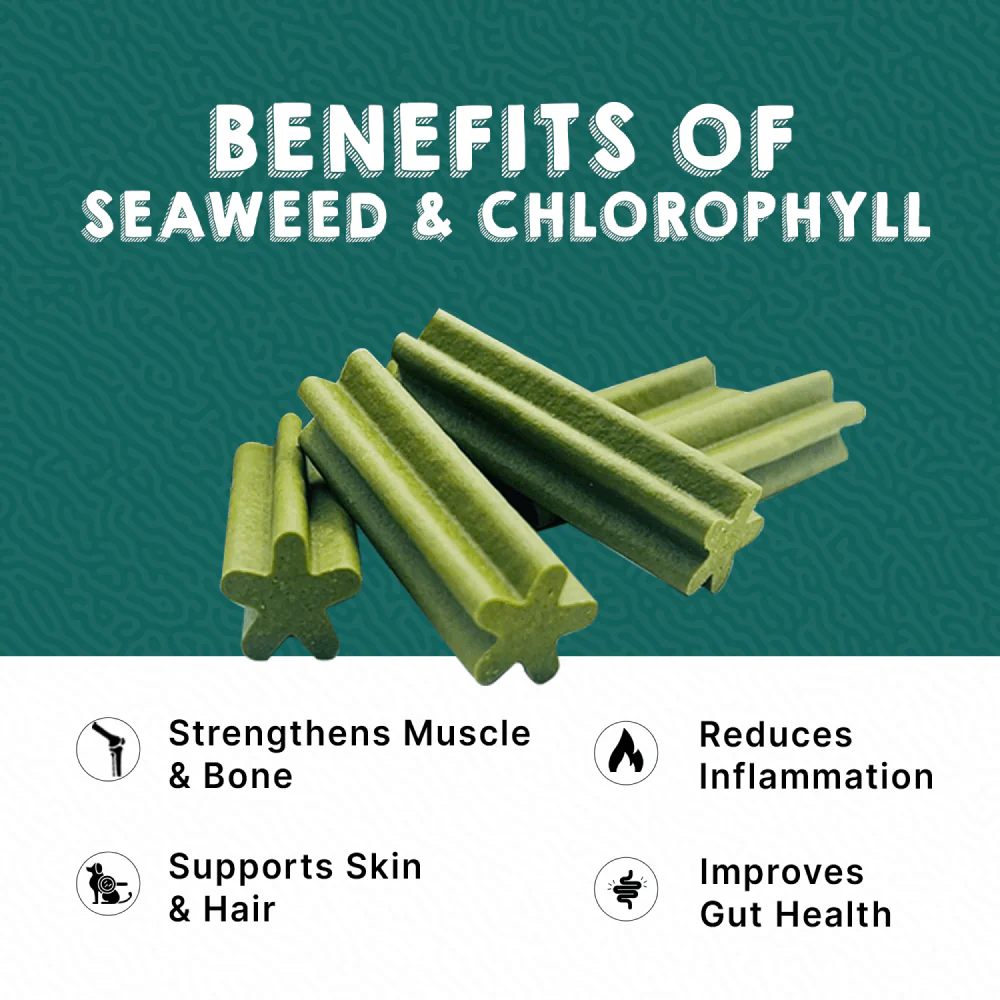 Goofy Tails Seaweed Active Dental Twists Dog Treats - Image 2