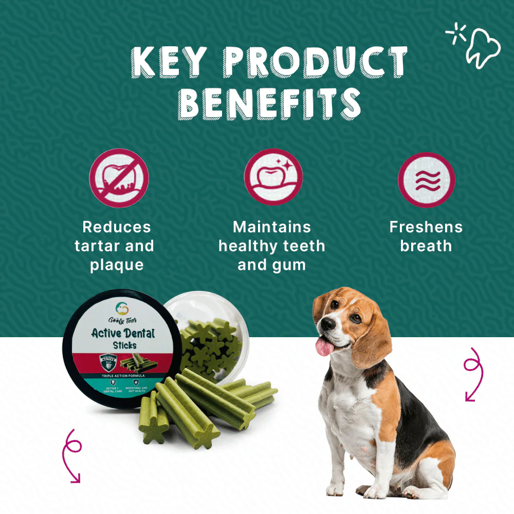 Goofy Tails Seaweed Active Dental Twists Dog Treats - Image 3