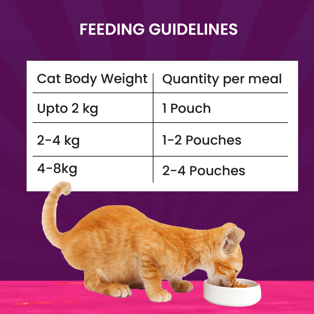 Goofy Tails Tuna and Anchovies Cat Wet Food - Image 2