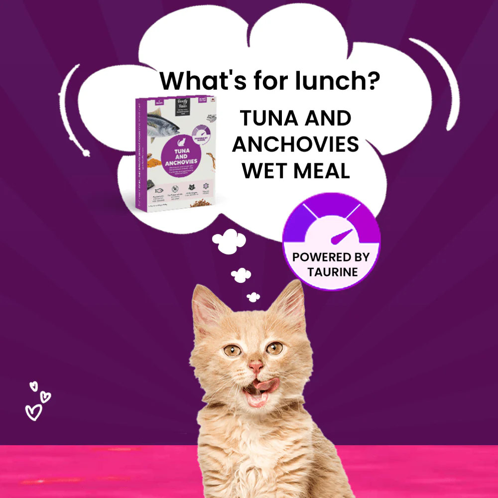Goofy Tails Tuna and Anchovies Cat Wet Food - Image 4