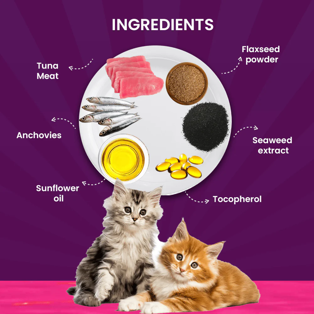 Goofy Tails Tuna and Anchovies Cat Wet Food - Image 5