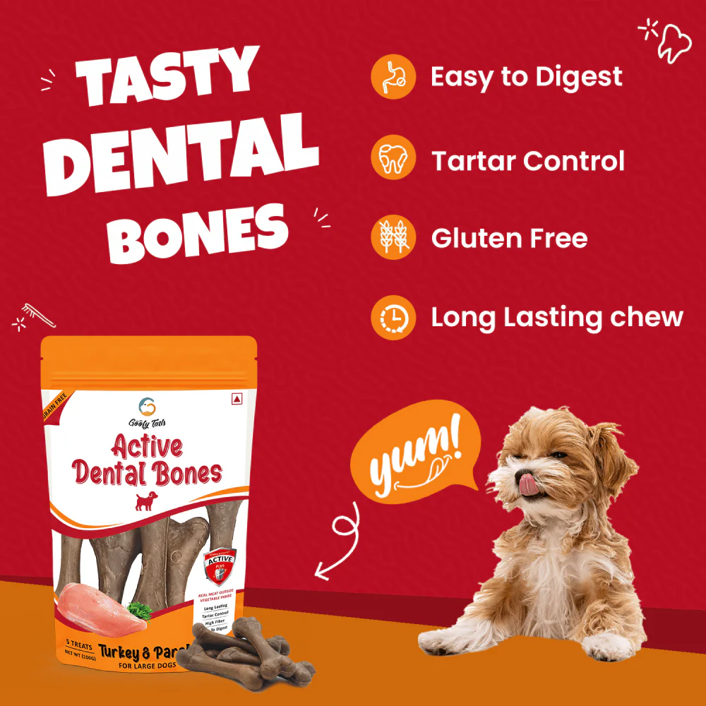 Goofy Tails Turkey and Parsley Active Dental Bone Dog Treats - Image 4