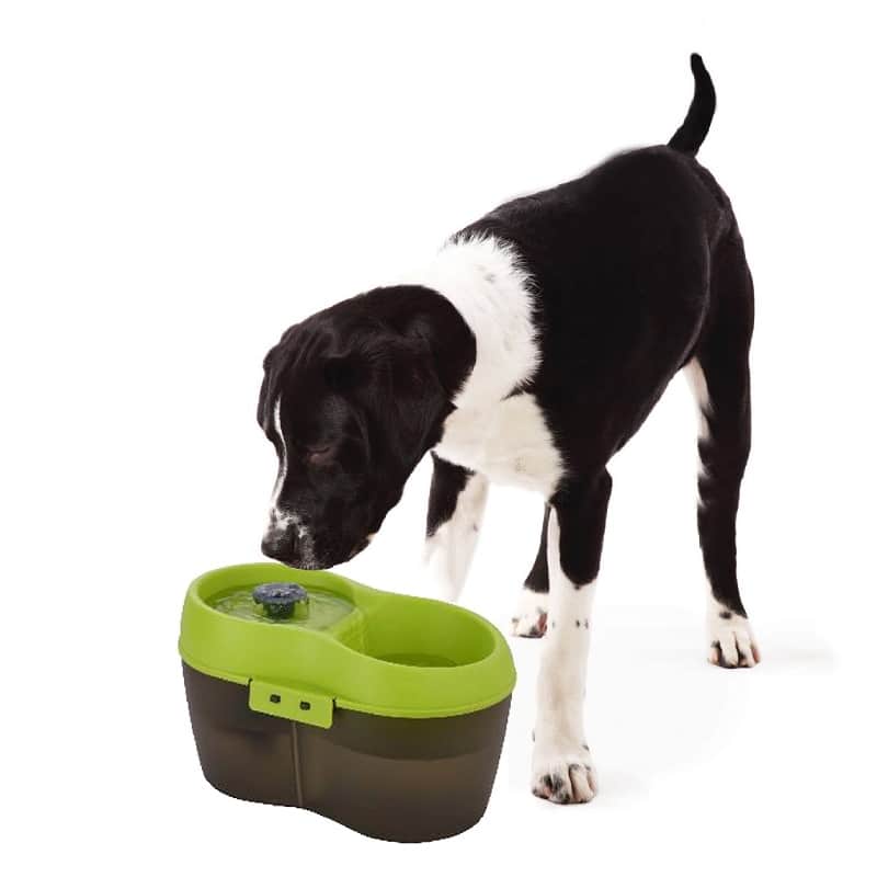 Goofy Tails Water Fountain Automatic Water Dispenser For Dogs (2L) - Image 6
