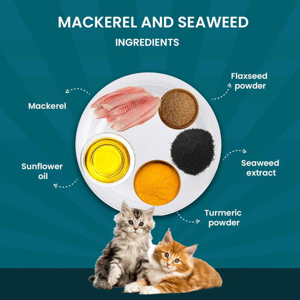 Goofy Tails Wholesome All Natural 3 in 1 Trial Variety Pack Cat Wet Food - Image 3