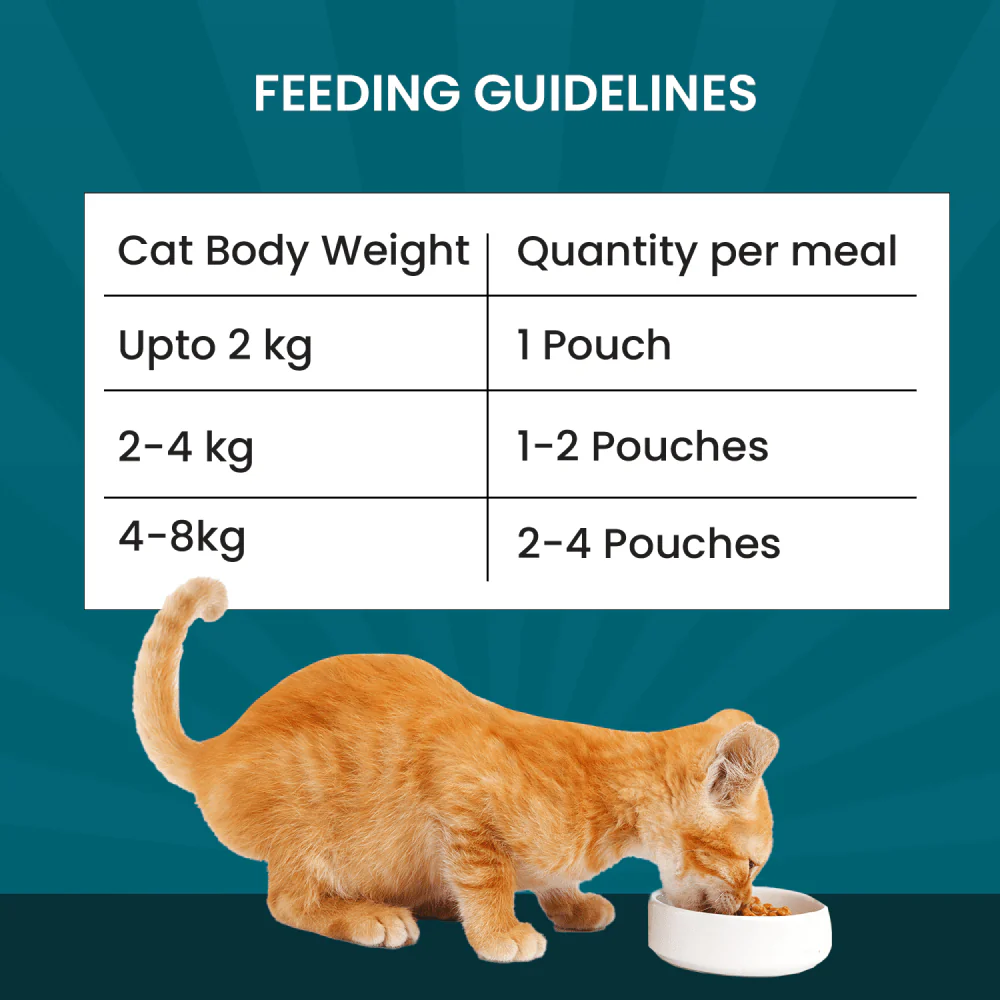 Goofy Tails Wholesome All Natural 3 in 1 Trial Variety Pack Cat Wet Food - Image 6