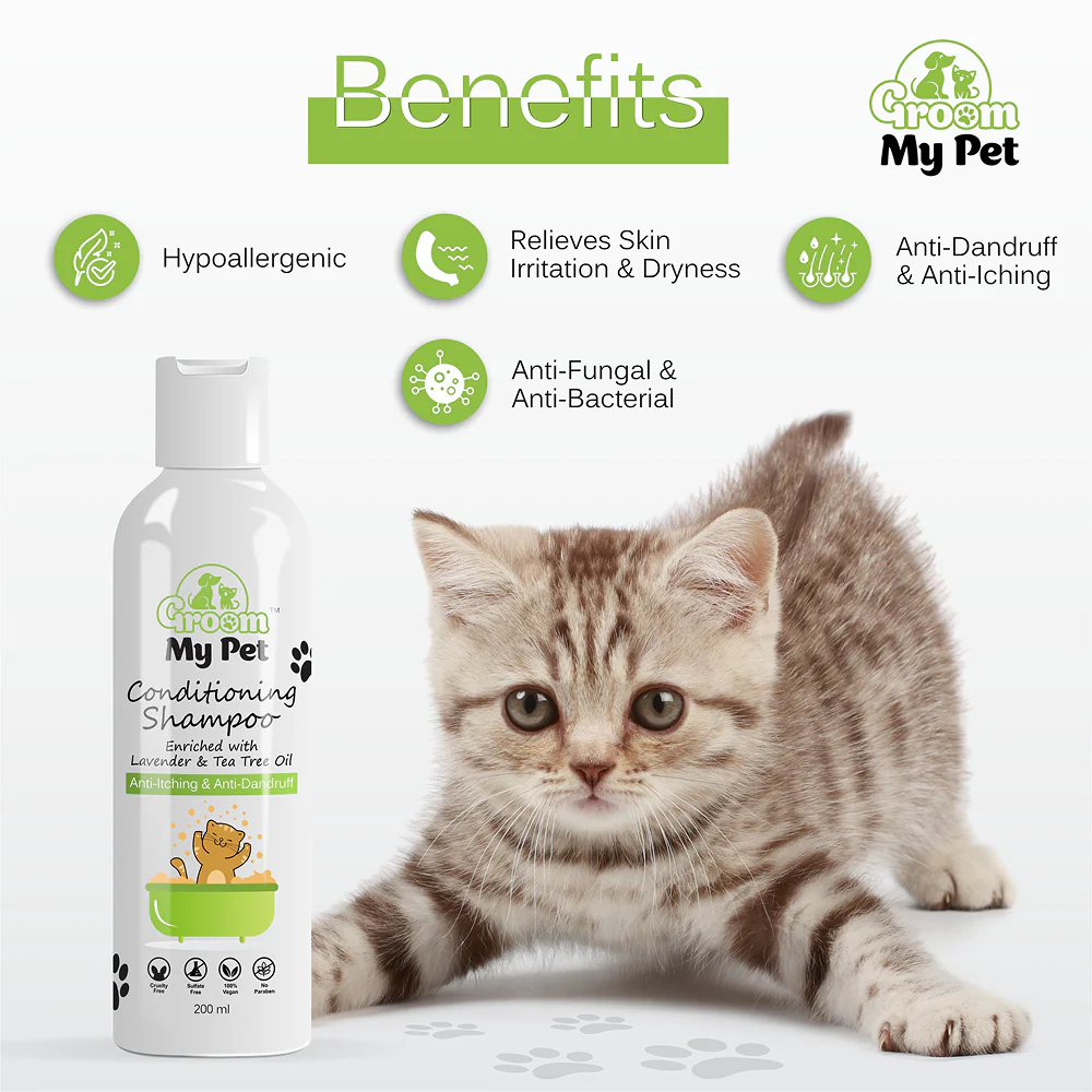 Groom My Pet Anti Itch & Dandruff Conditioning Shampoo for Cats - Image 2