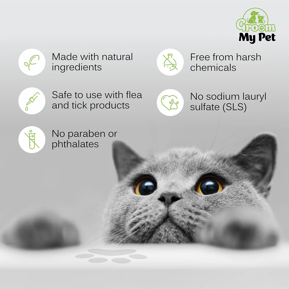 Groom My Pet Anti Itch & Dandruff Conditioning Shampoo for Cats - Image 4