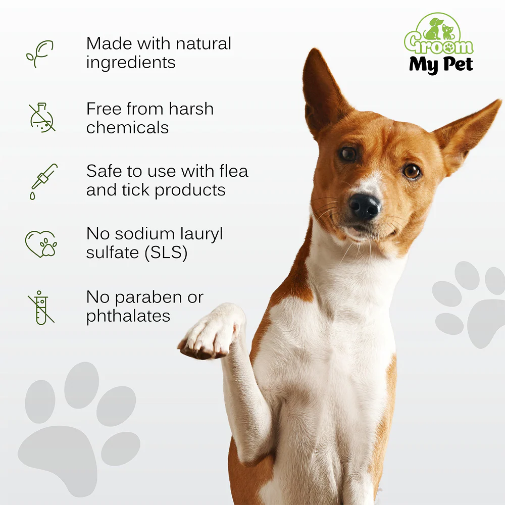 Groom My Pet Anti Itch & Dandruff Conditioning Shampoo for Dogs - Image 4