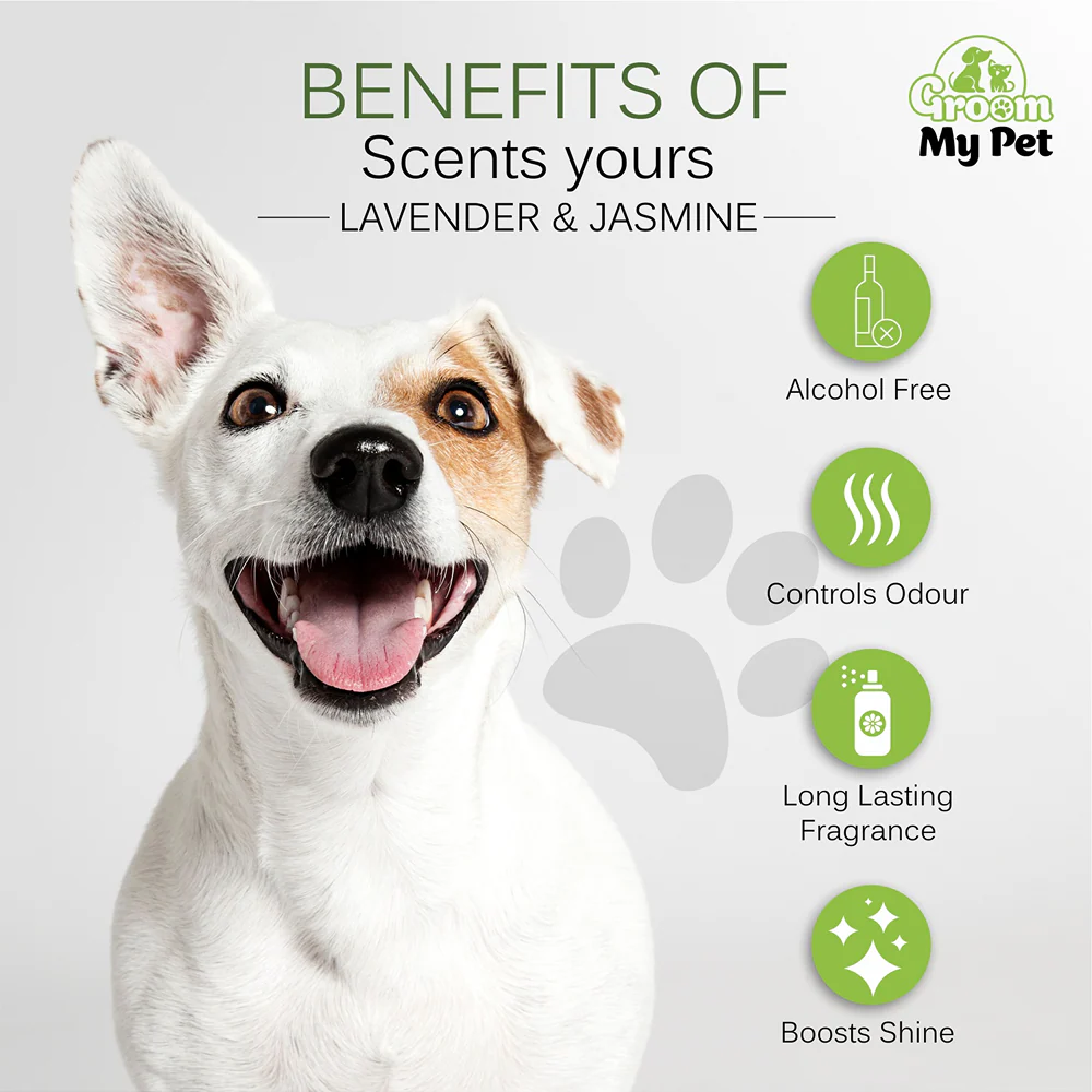 Groom My Pet Lavender and Jasmine Pampered Pooch Cologne for Dogs - Image 2