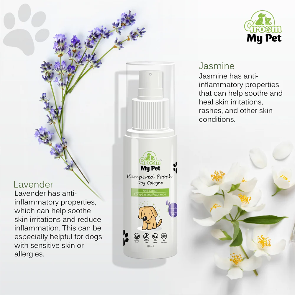 Groom My Pet Lavender and Jasmine Pampered Pooch Cologne for Dogs - Image 3