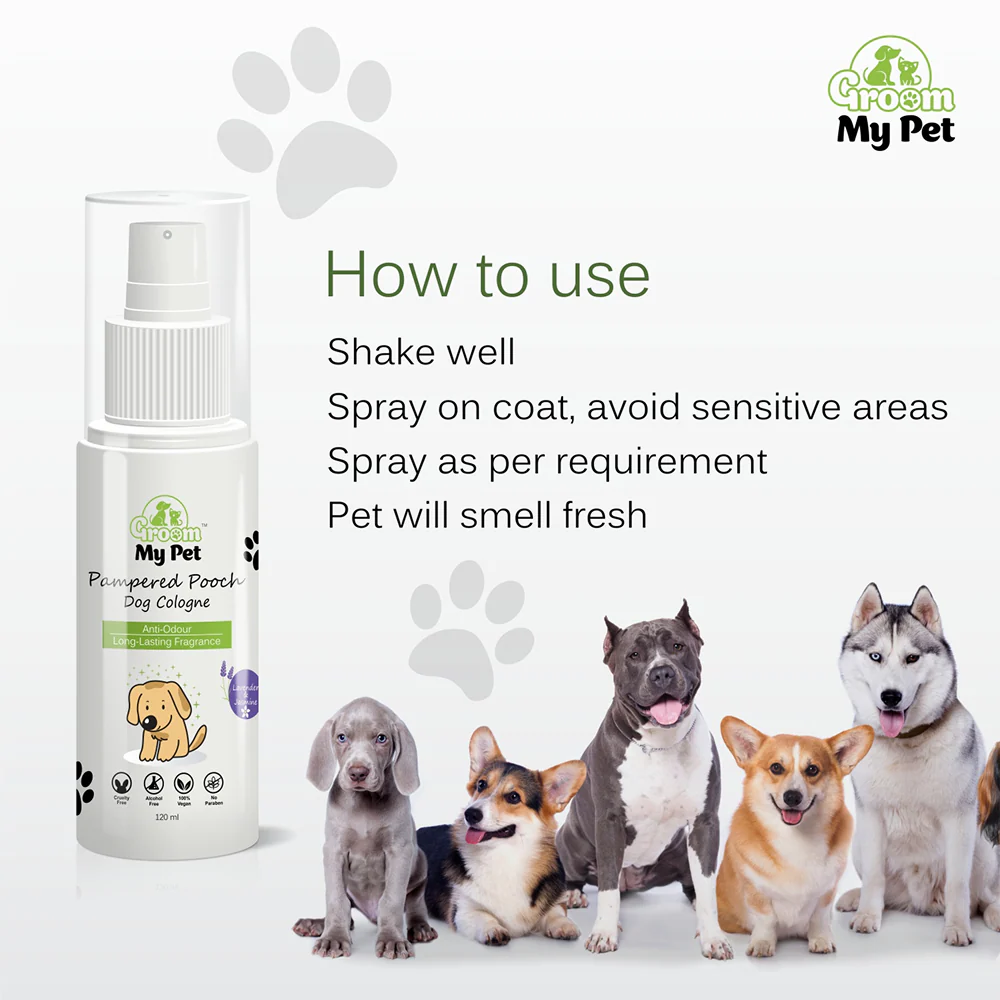 Groom My Pet Lavender and Jasmine Pampered Pooch Cologne for Dogs - Image 6