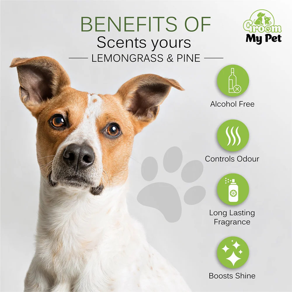 Groom My Pet Lemongrass & Pine Pampered Pooch Cologne for Dogs - Image 2