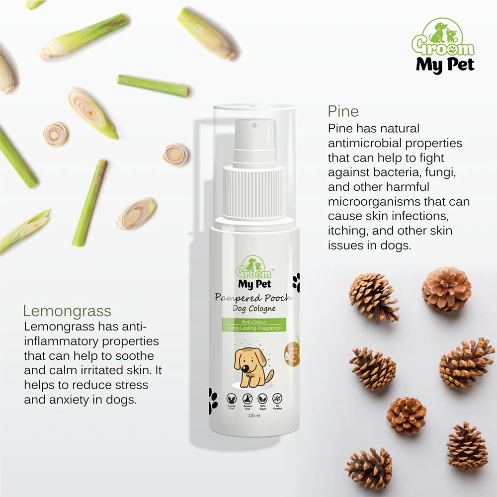 Groom My Pet Lemongrass & Pine Pampered Pooch Cologne for Dogs - Image 3
