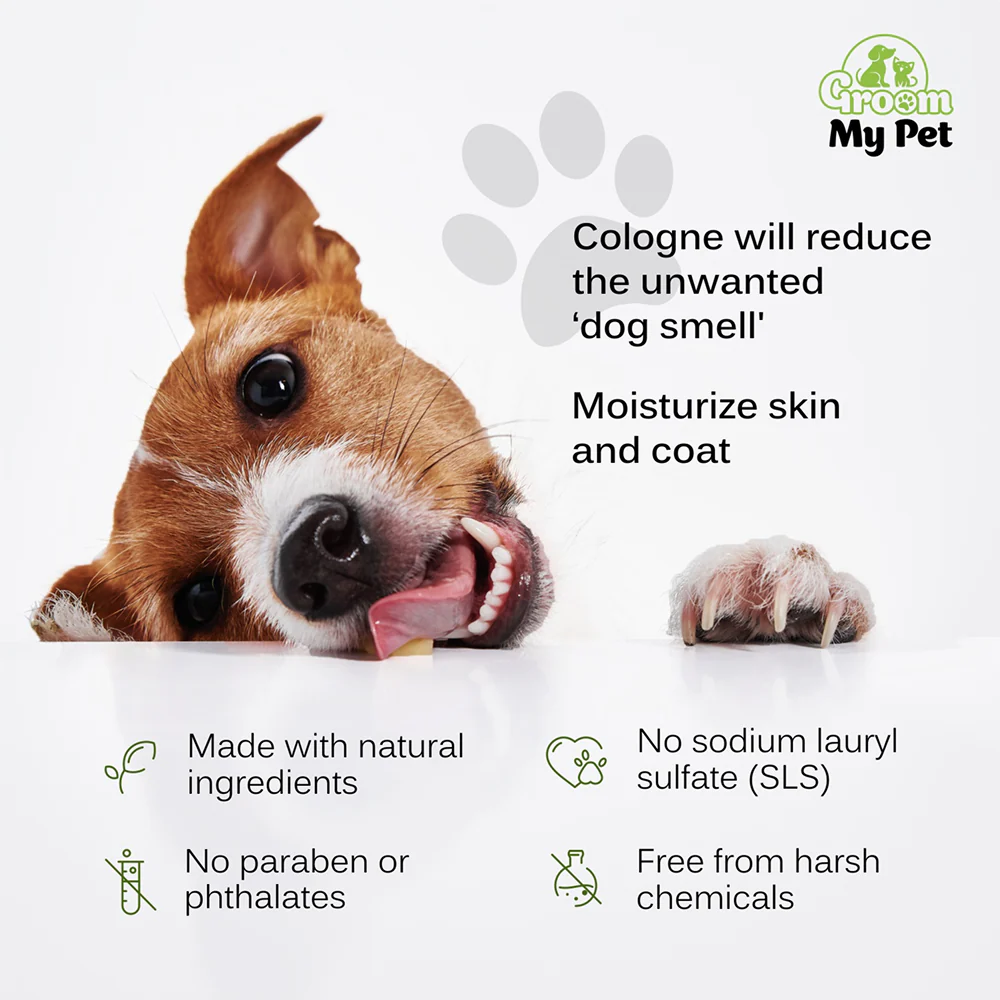 Groom My Pet Lemongrass & Pine Pampered Pooch Cologne for Dogs - Image 4