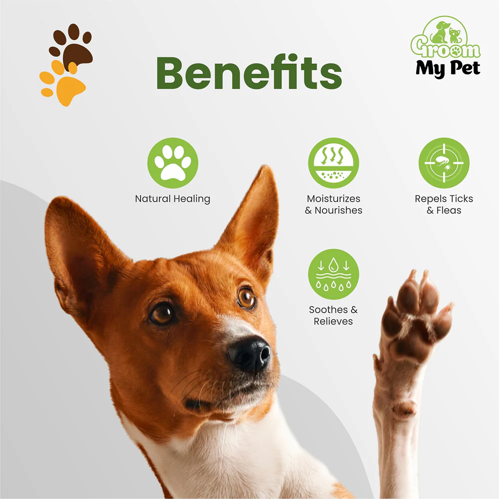 Groom My Pet Paw Butter for Dogs and Cats - Image 2