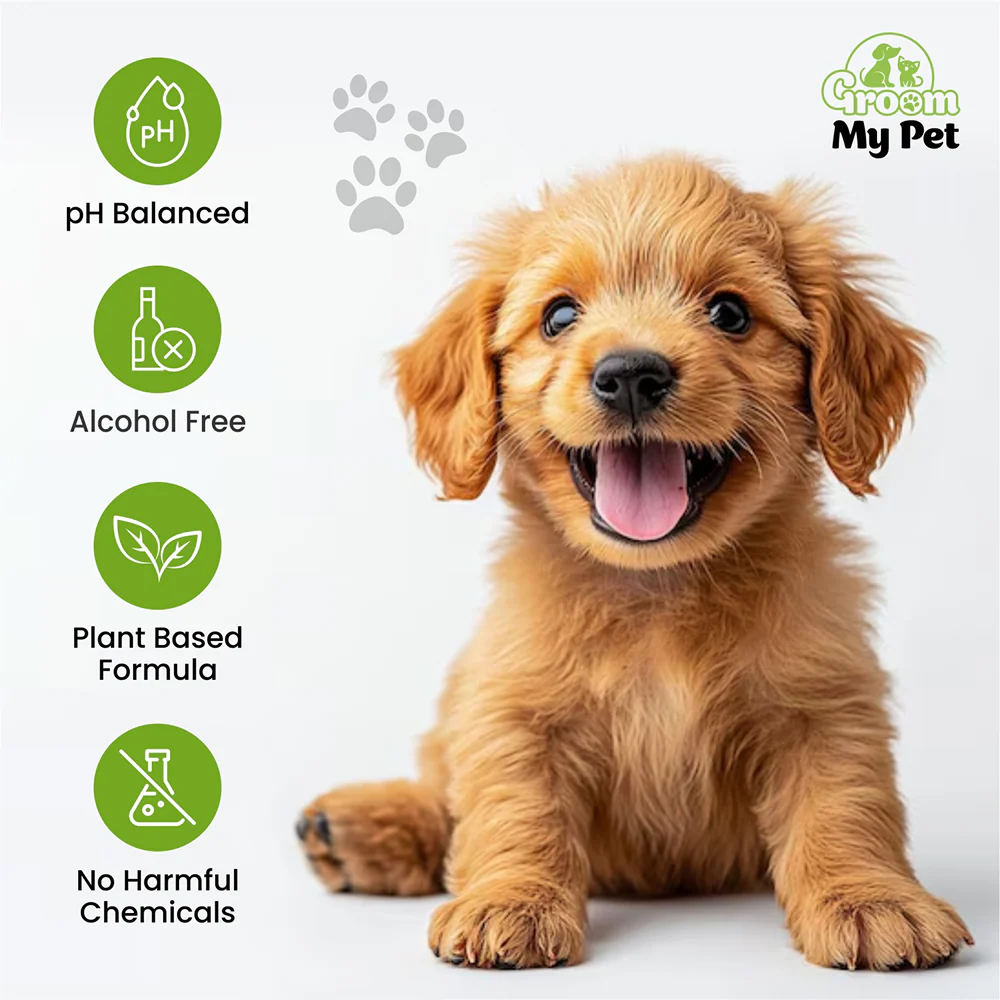 Groom My Pet Tick and Flea Shampoo for Dogs - Image 4