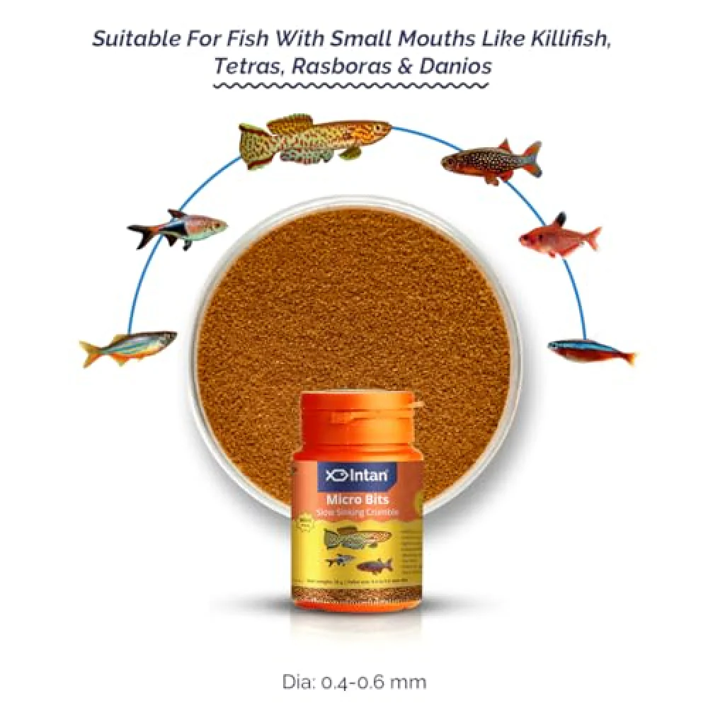 Growel Intan Micro Bits Fish Food - Image 2