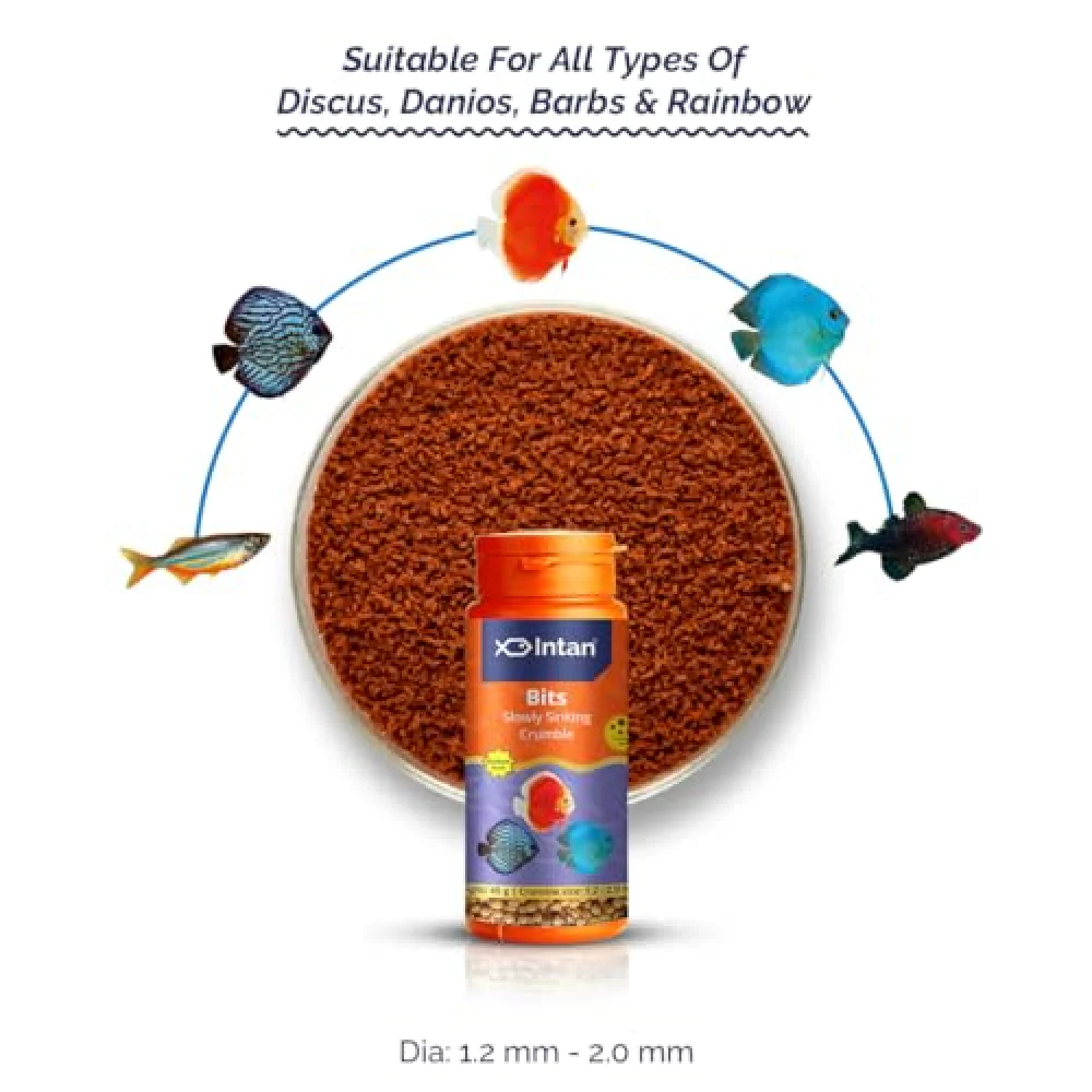 Growel Intan Bits Fish Food - Image 2