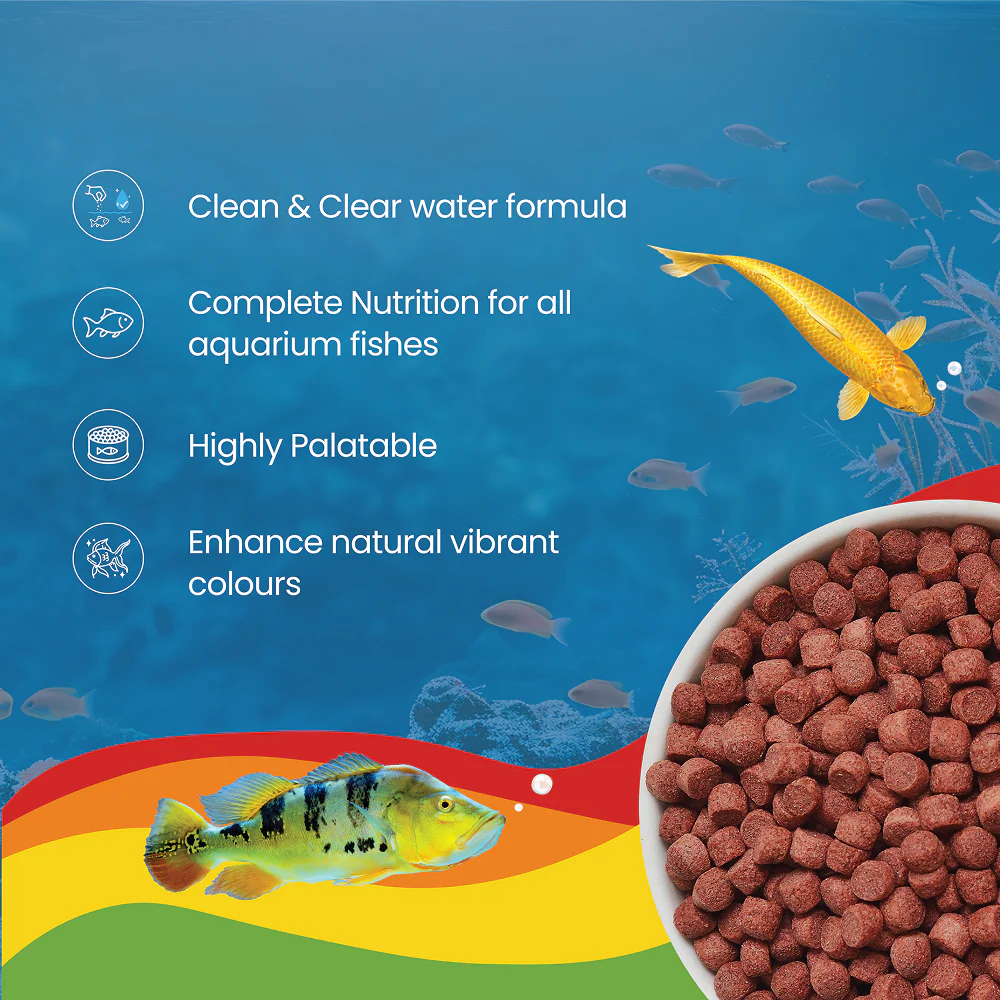 Growel Rainbow Medium 5.5mm Floating Pellet for Fish - Image 2