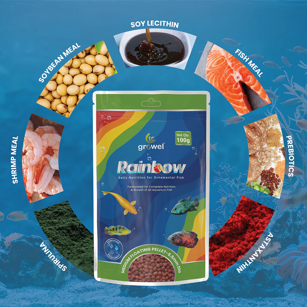 Growel Rainbow Medium 5.5mm Floating Pellet for Fish - Image 3