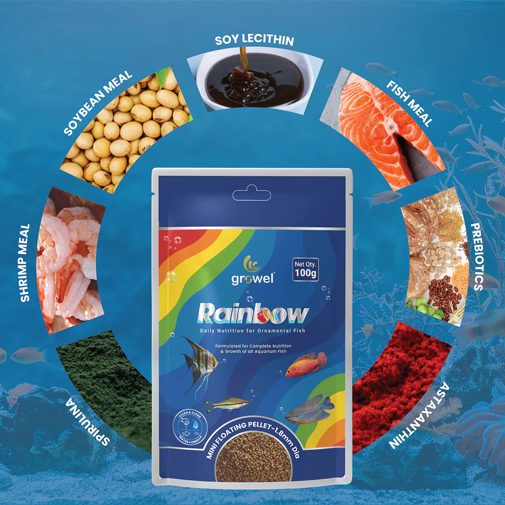 Growel Rainbow Mini 1.8mm Floating Pellet for Fish - Image 3