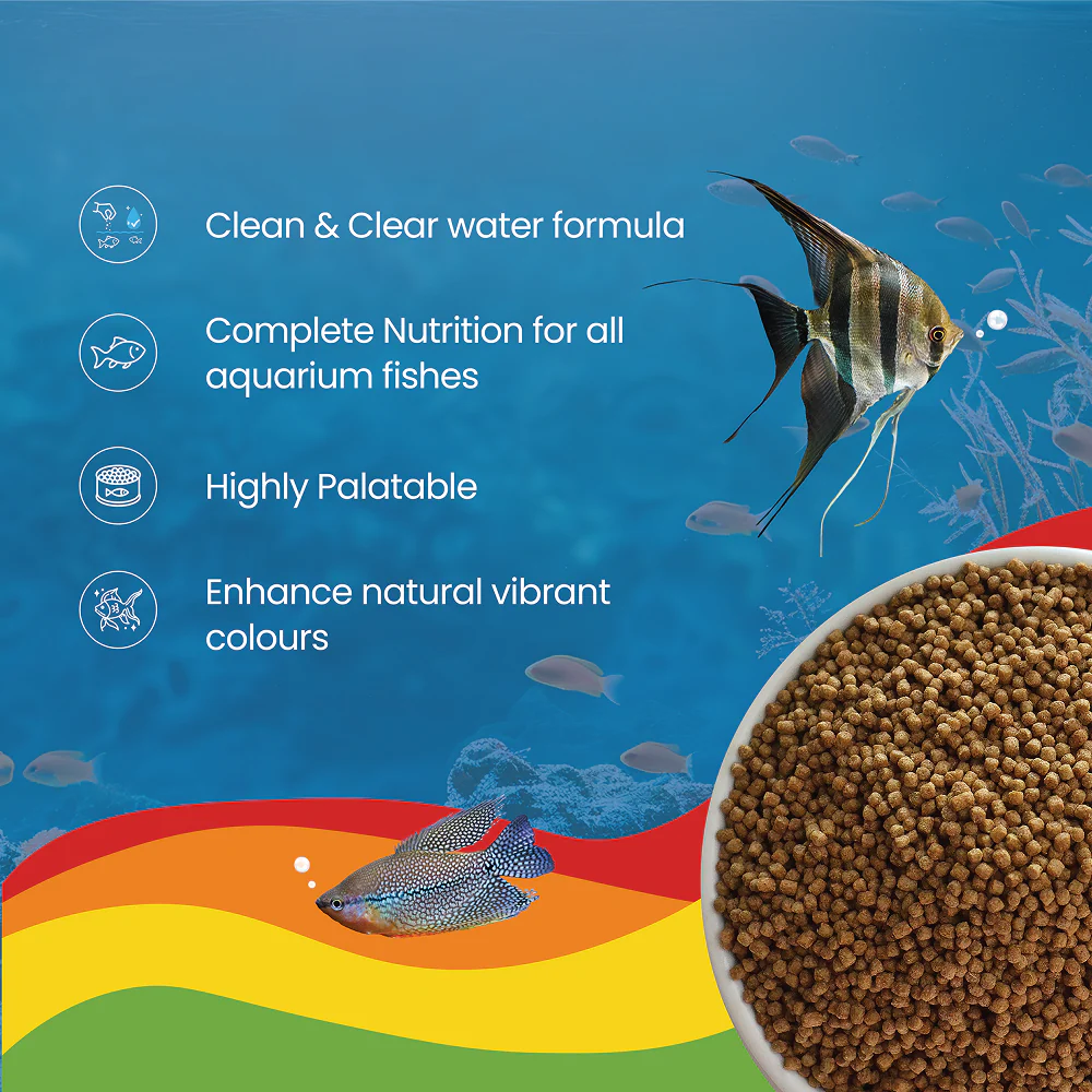 Growel Rainbow Mini 1.8mm Floating Pellet for Fish - Image 4