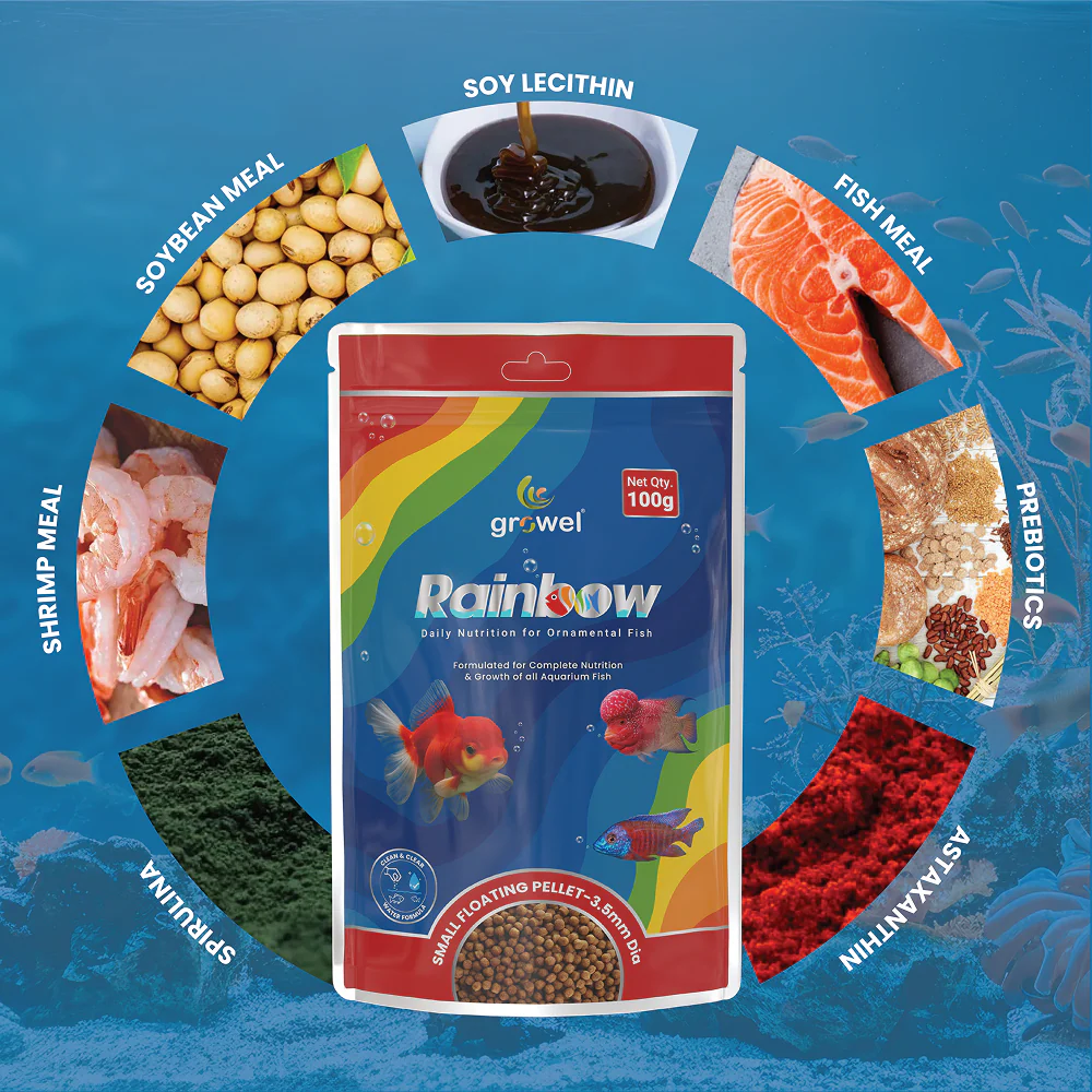 Growel Rainbow Small 3.5mm Floating Pellet for Fish - Image 4