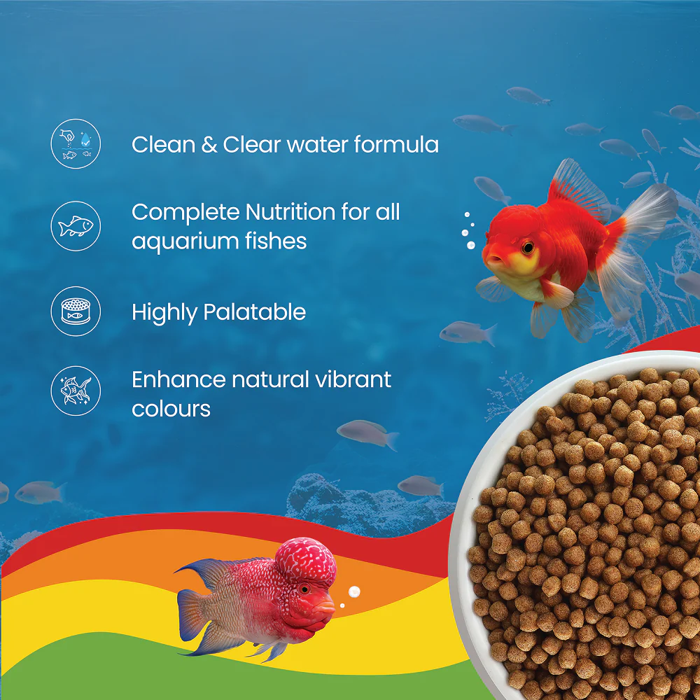 Growel Rainbow Small 3.5mm Floating Pellet for Fish - Image 5
