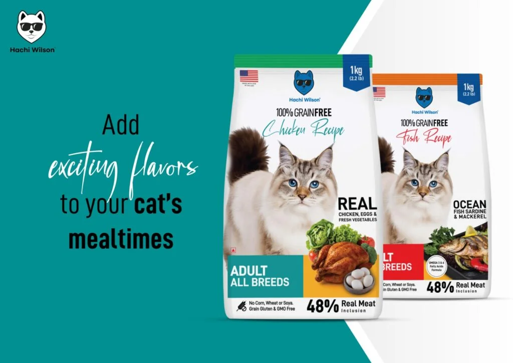 Hachi Wilson Grain Free Chicken Adult Cat Dry Food - Image 3