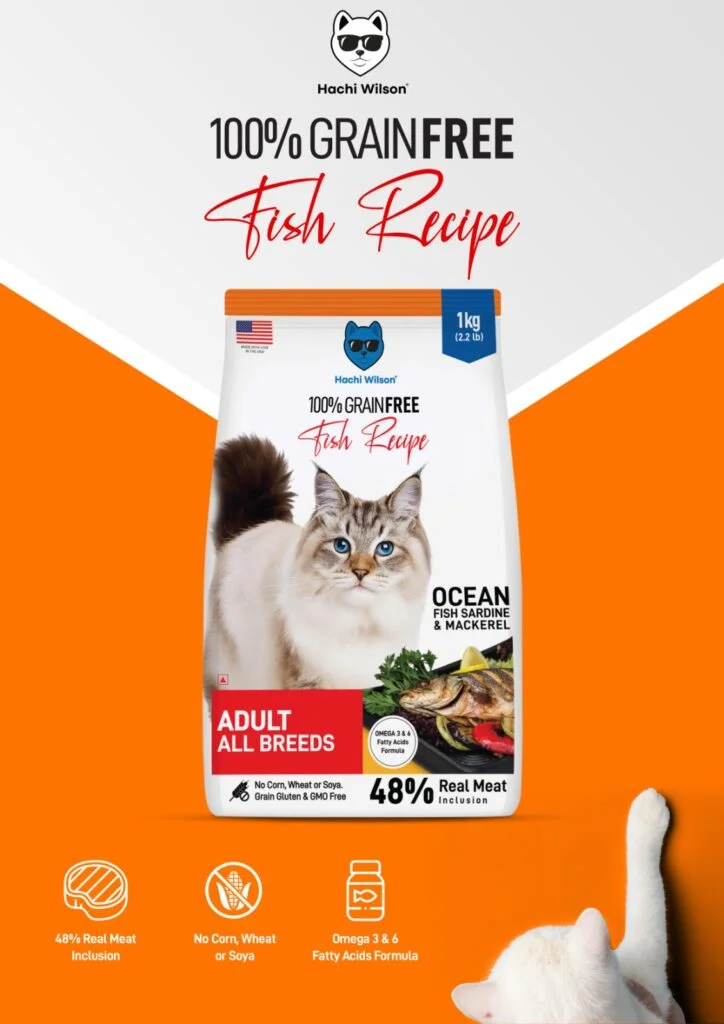 Hachi Wilson Grain Free Ocean Fish Sardine & Mackerel Adult Cat Dry Food - Image 4