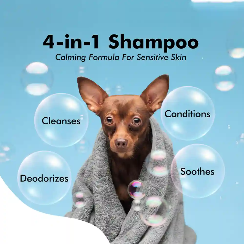 Hachi Wilson Premium 4 in 1 Shampoo for Dogs and Cats - Image 4