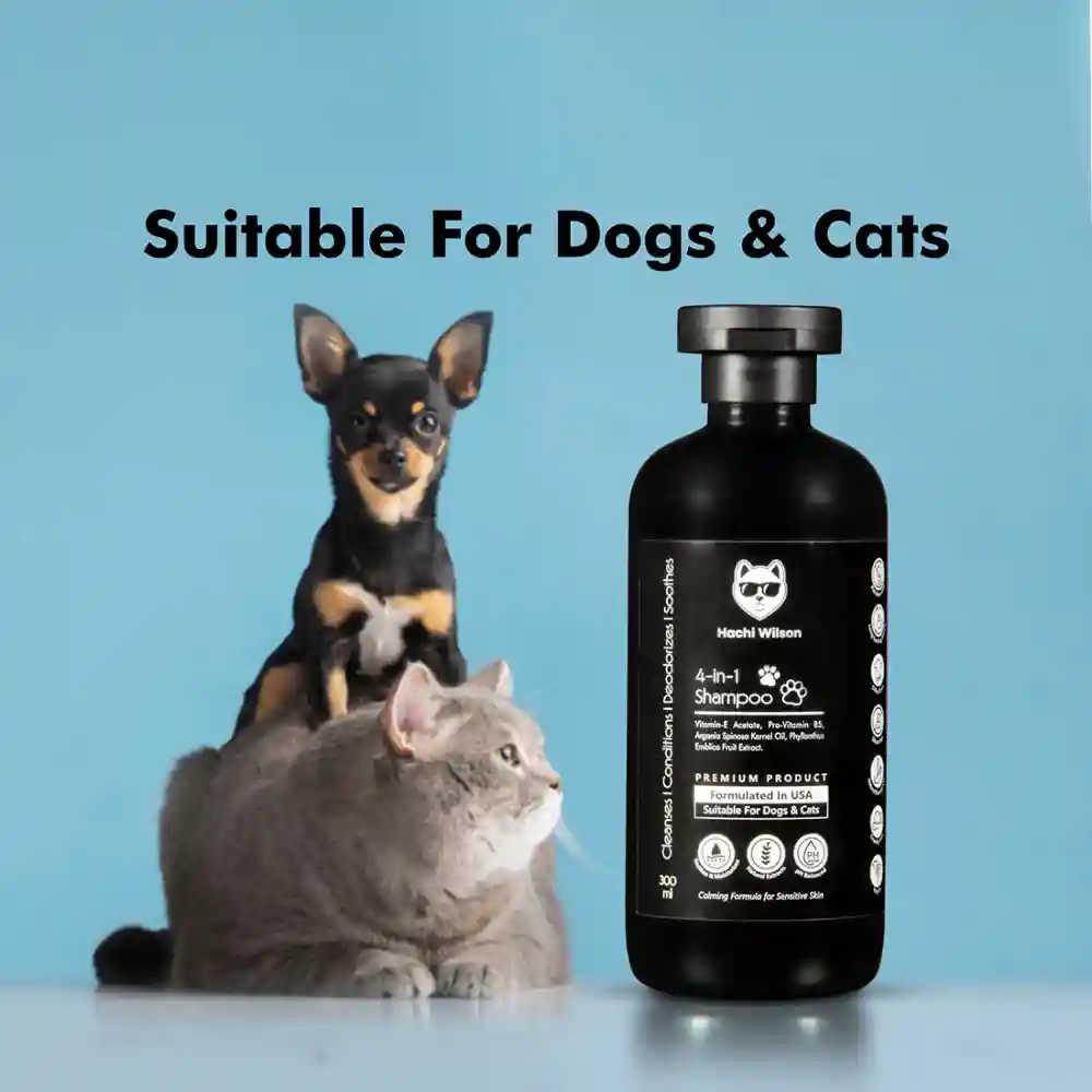 Hachi Wilson Premium 4 in 1 Shampoo for Dogs and Cats - Image 8