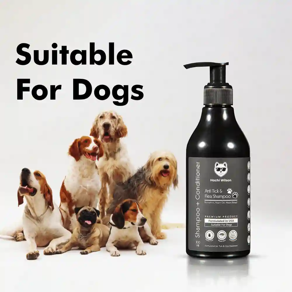 Hachi Wilson Premium Anti-Tick & Flea Shampoo for Dogs and Cats - Image 4