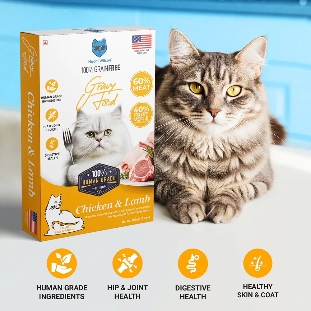 Hachi Wilson Premium Chicken and Lamb Gravy Cat Wet Food - Image 3