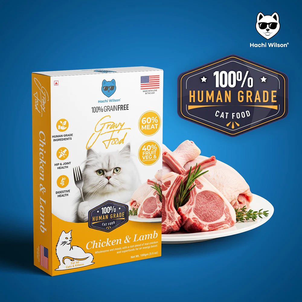Hachi Wilson Premium Chicken and Lamb Gravy Cat Wet Food - Image 4