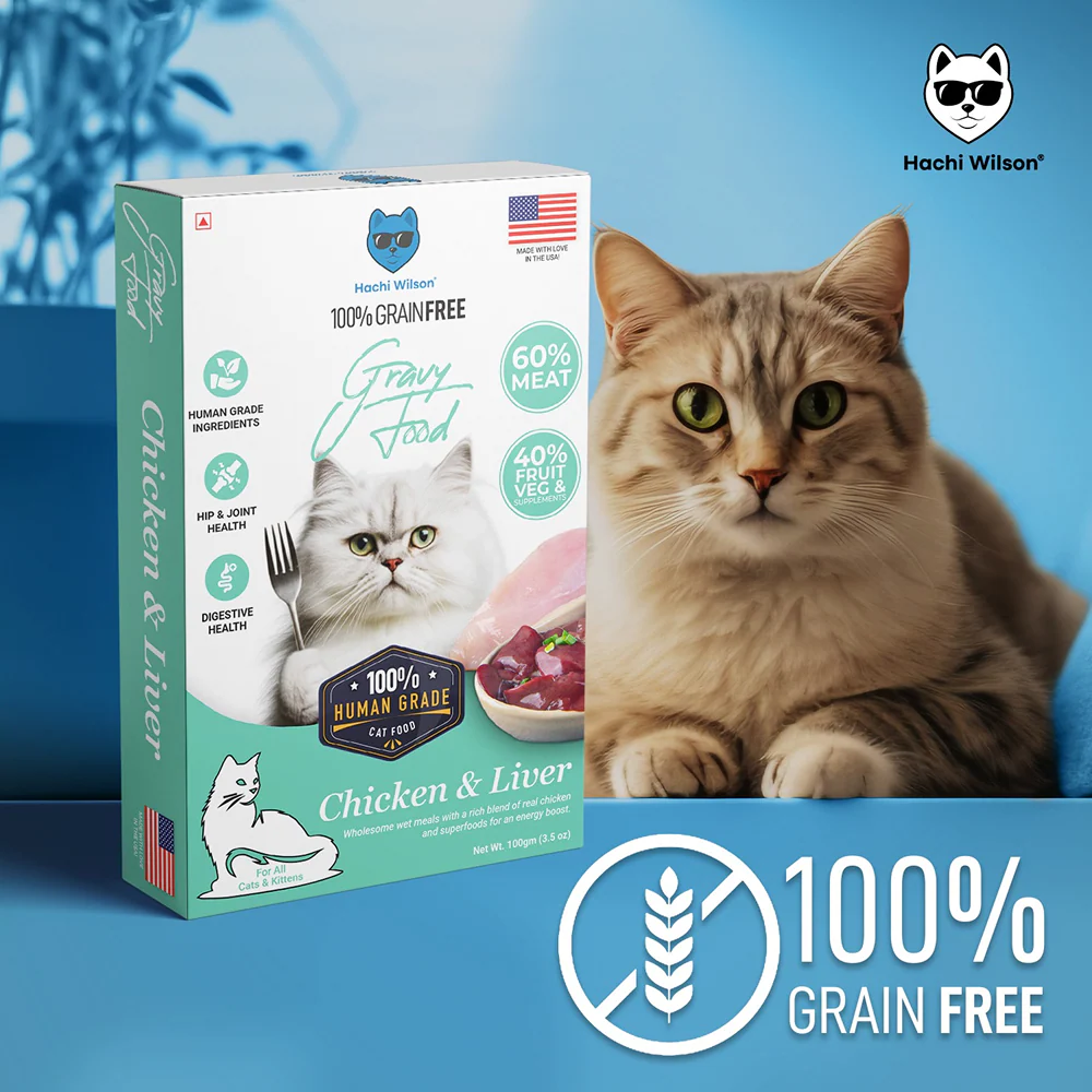 Hachi Wilson Premium Chicken and Liver Gravy Cat Wet Food - Image 4