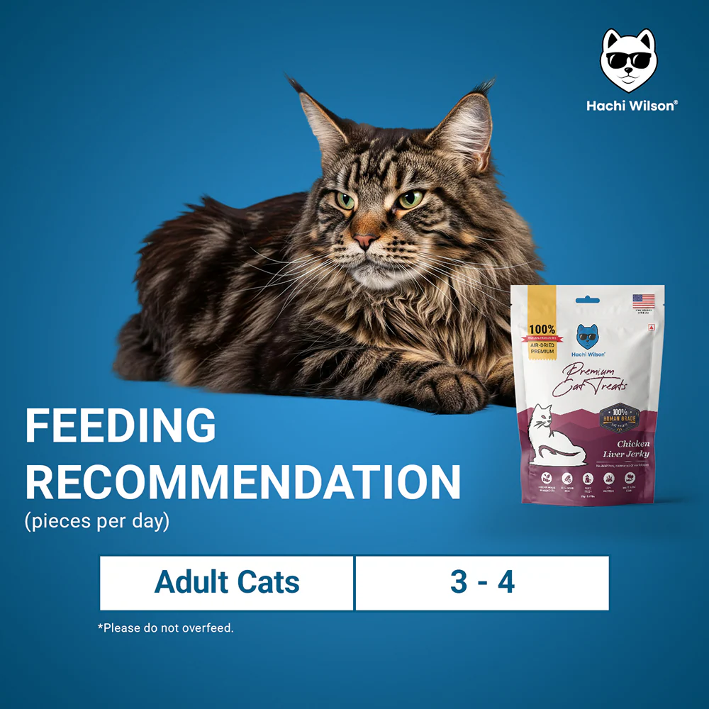 Hachi Wilson Premium Chicken Liver Jerky Cat Treat - Image 4