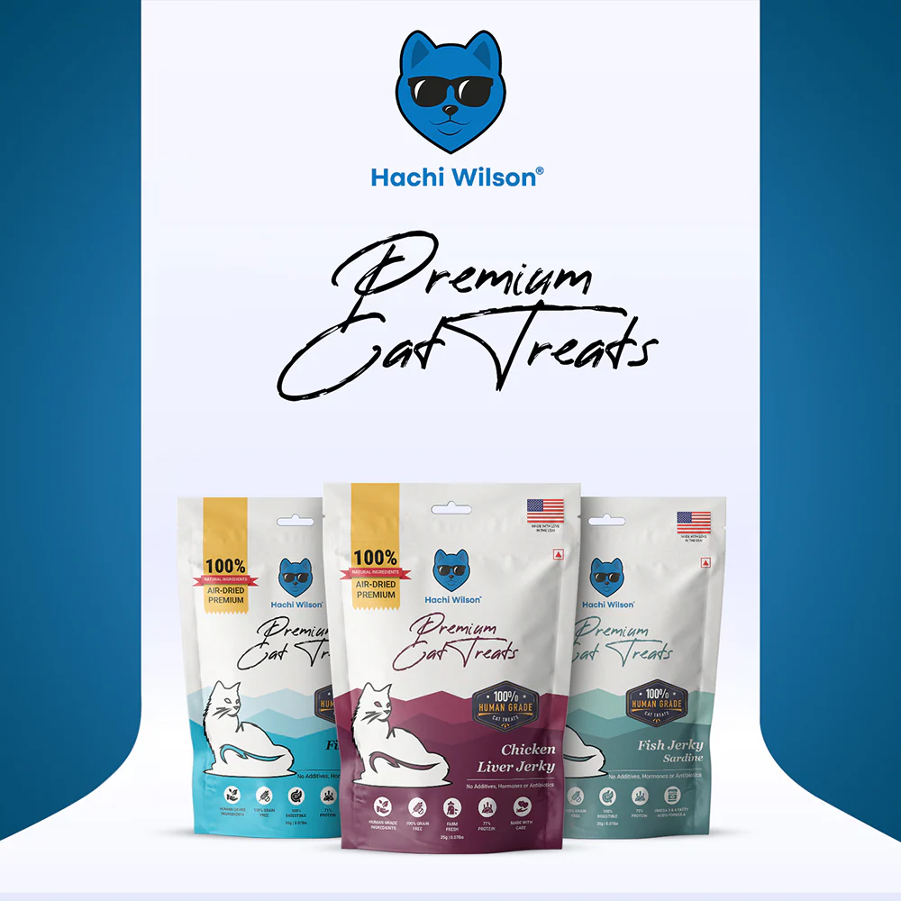 Hachi Wilson Premium Chicken Liver Jerky Cat Treat - Image 5