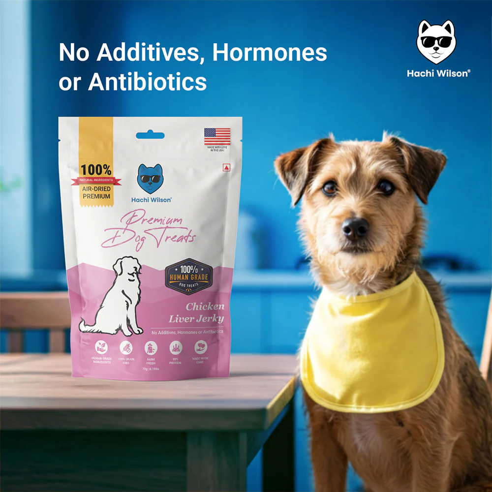 Hachi Wilson Premium Chicken Liver Jerky Dog Treat - Image 4
