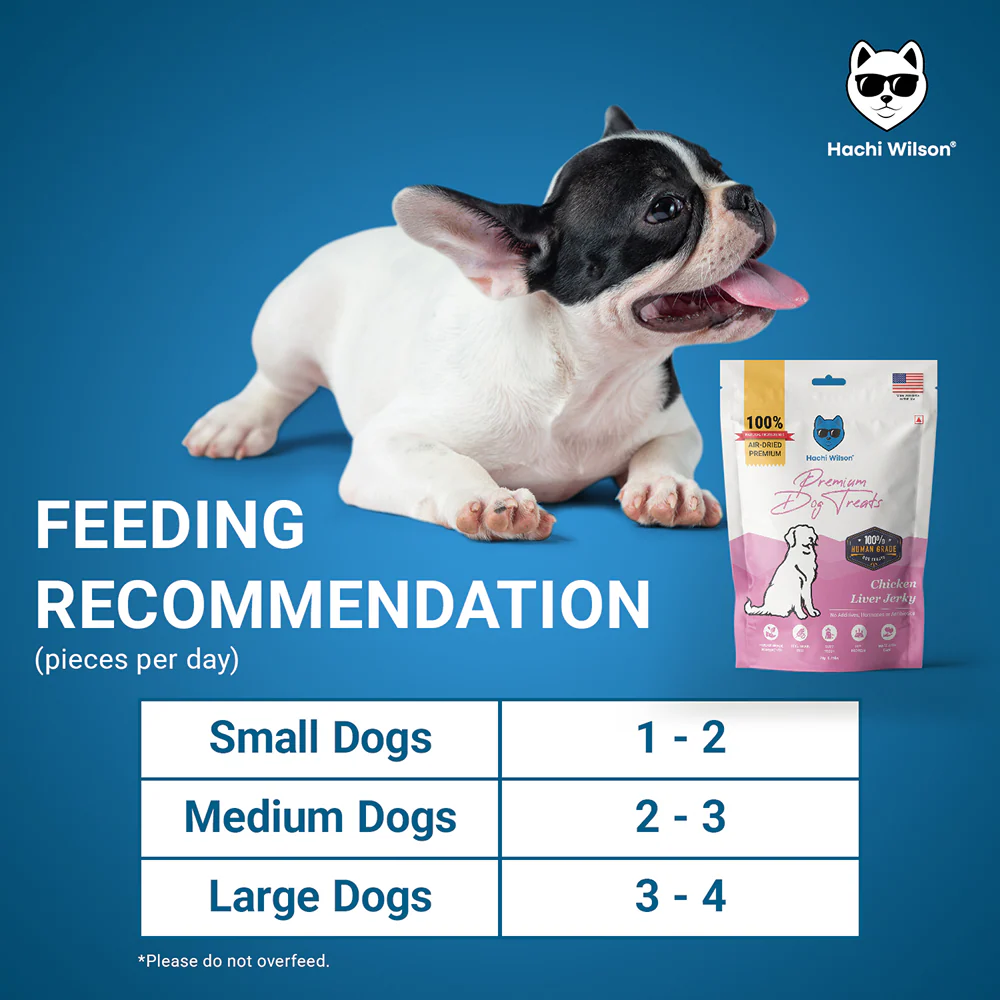 Hachi Wilson Premium Chicken Liver Jerky Dog Treat - Image 5