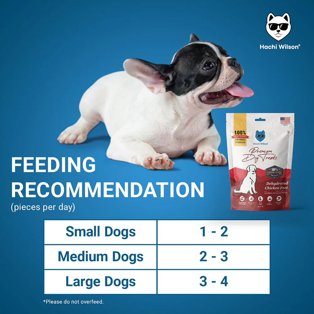 Hachi Wilson Premium Dehydrated Chicken Feet Jerky Dog Treat - Image 6