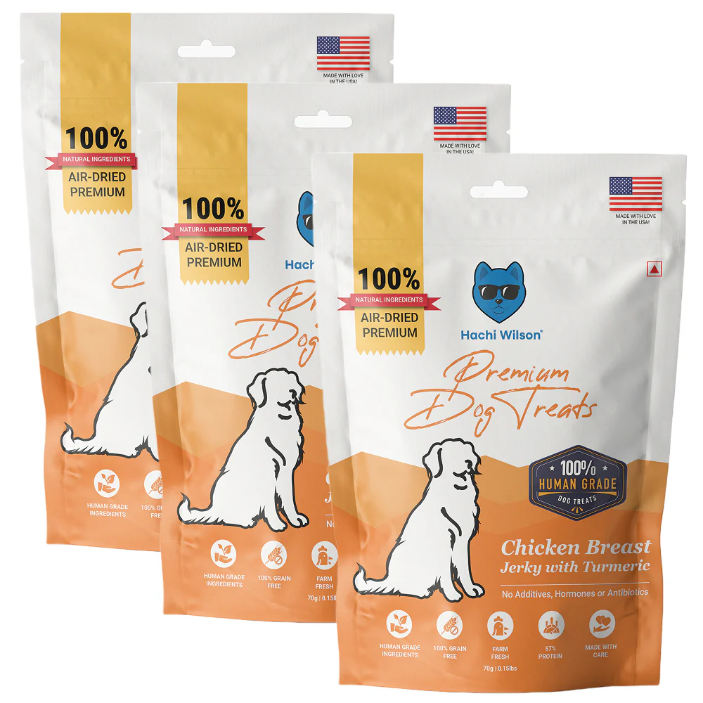 Hachi Wilson Premium Chicken Breast with Turmeric Jerky Dog Treat - Image 10