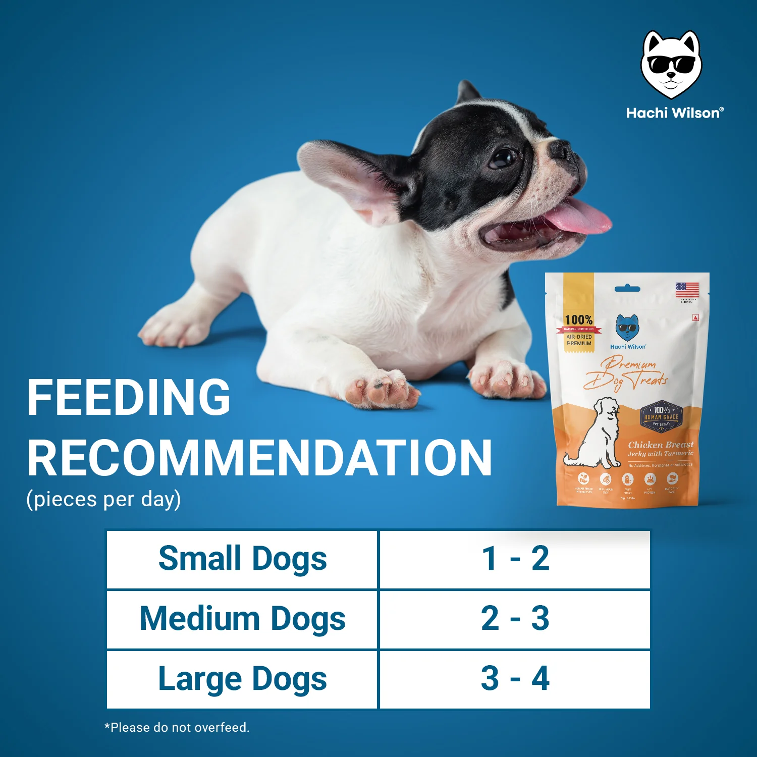 Hachi Wilson Premium Chicken Breast with Turmeric Jerky Dog Treat - Image 5