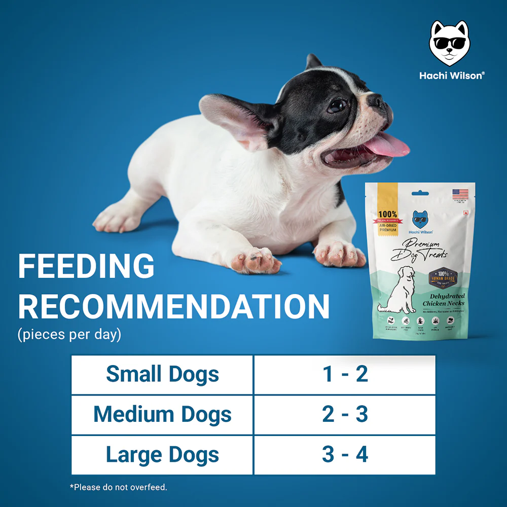 Hachi Wilson Premium Dehydrated Chicken Neck Jerky Dog Treat - Image 4