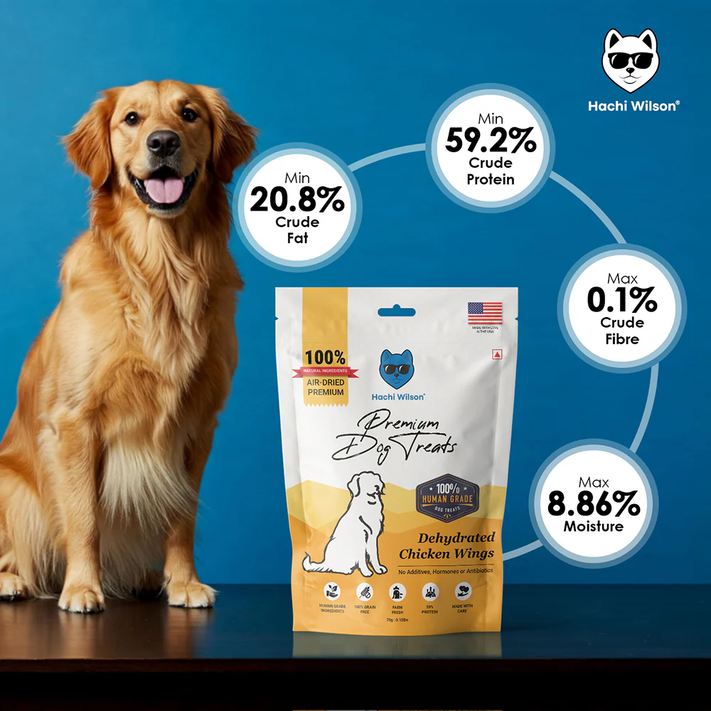 Hachi Wilson Premium Dehydrated Chicken Wings Jerky Dog Treat - Image 2