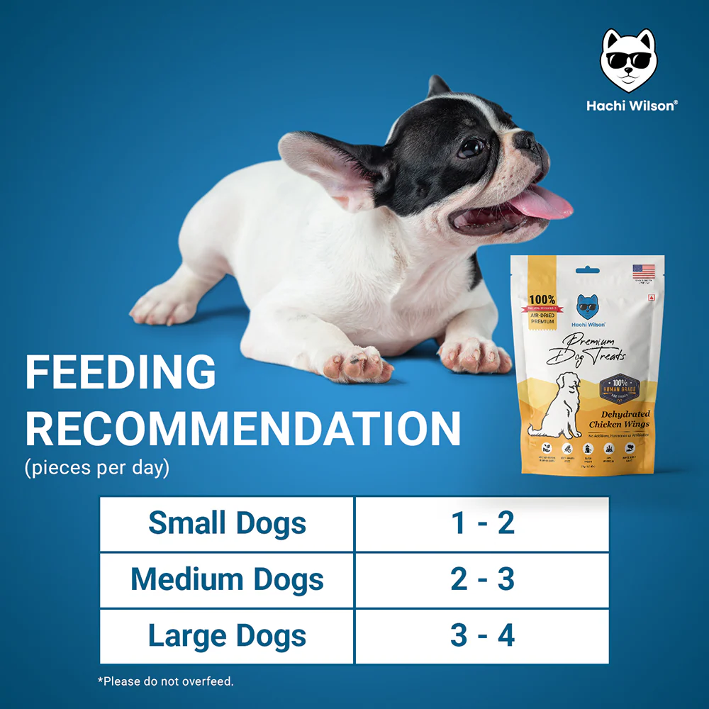 Hachi Wilson Premium Dehydrated Chicken Wings Jerky Dog Treat - Image 5