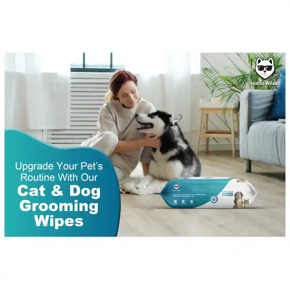 Hachi Wilson Premium Hypoallergenic Plant Based Wipes for Dogs and Cats - Image 5