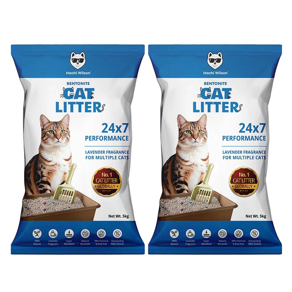Hachi Wilson Scented Natural Bentonite White Sand Cat Litter - Image 12