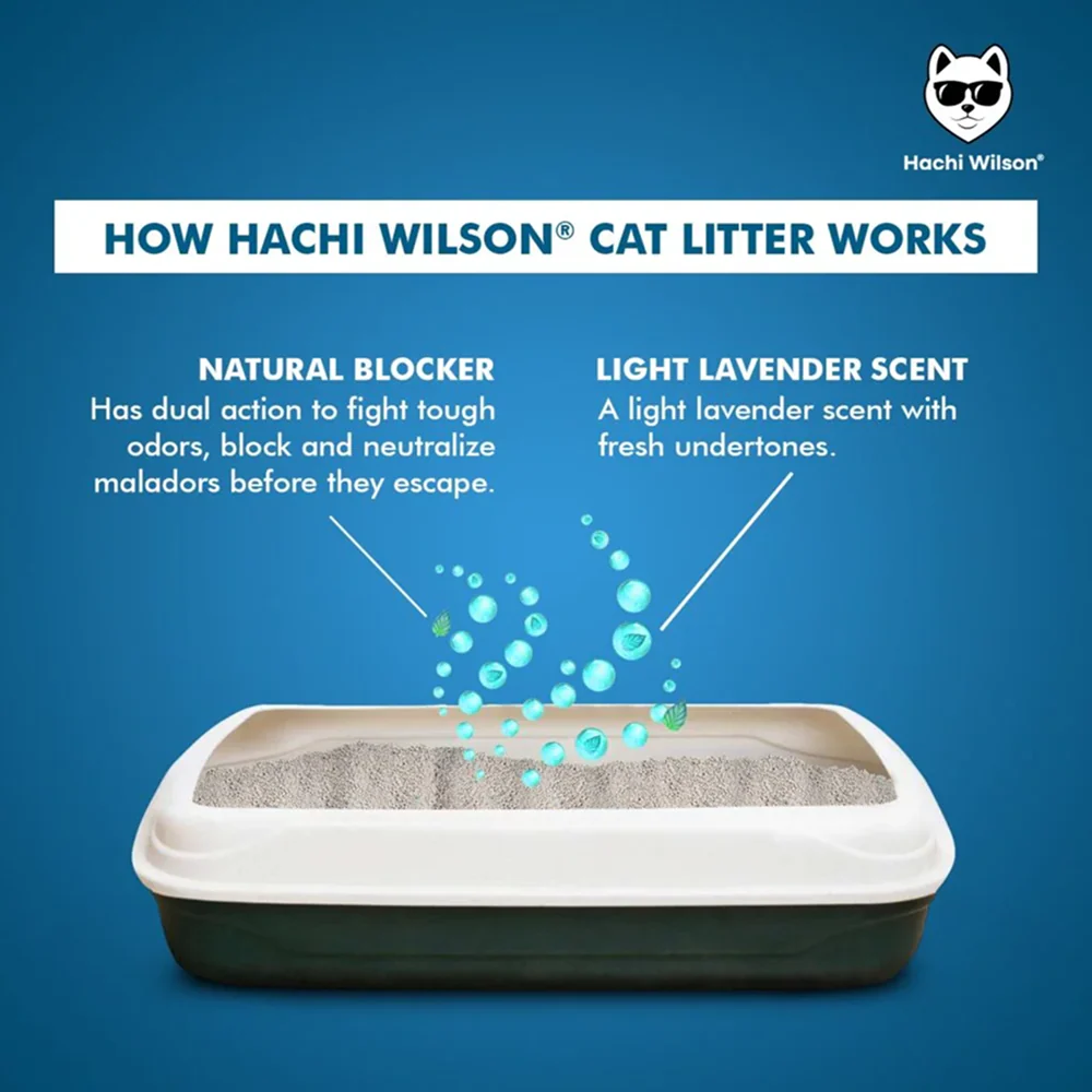 Hachi Wilson Scented Natural Bentonite White Sand Cat Litter - Image 5